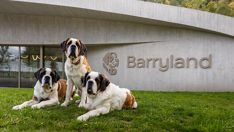 Barryland – Martigny