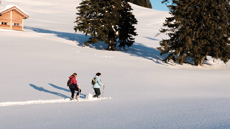 Office of the Vaud Alps Guides – Vaud