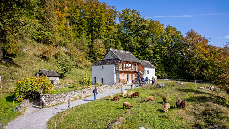 Ballenberg, Freilichtmuseum der Schweiz - Brienz