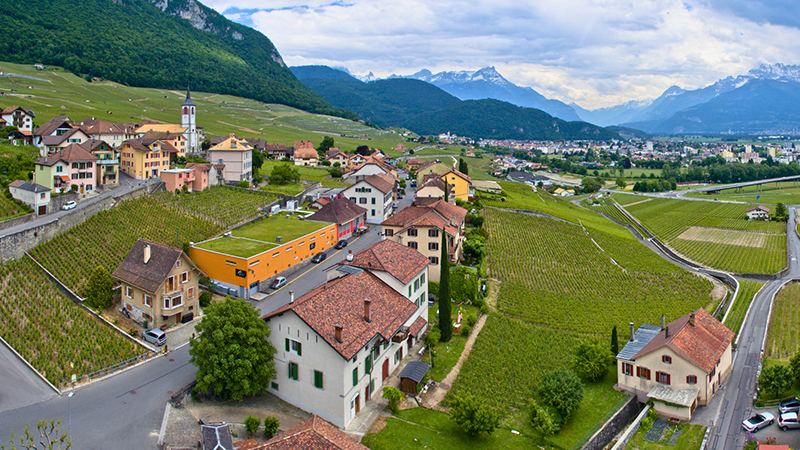 Artisans Vignerons d'Yvorne (AVY), Wines - Yvorne