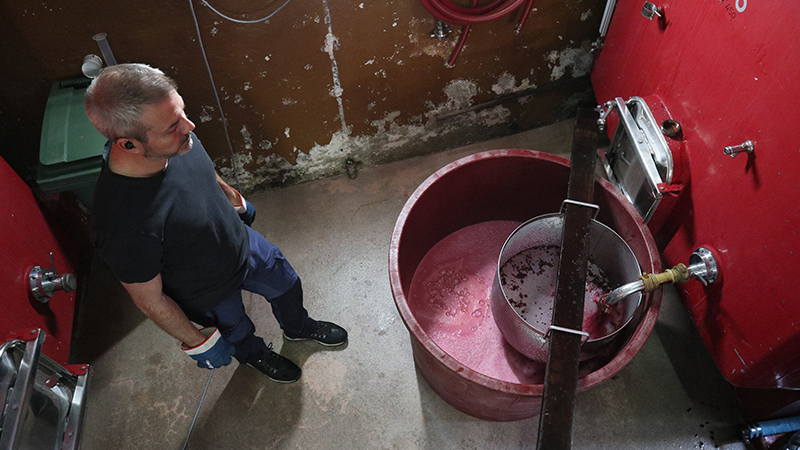 Artisans Vignerons d'Yvorne (AVY), Wines - Yvorne