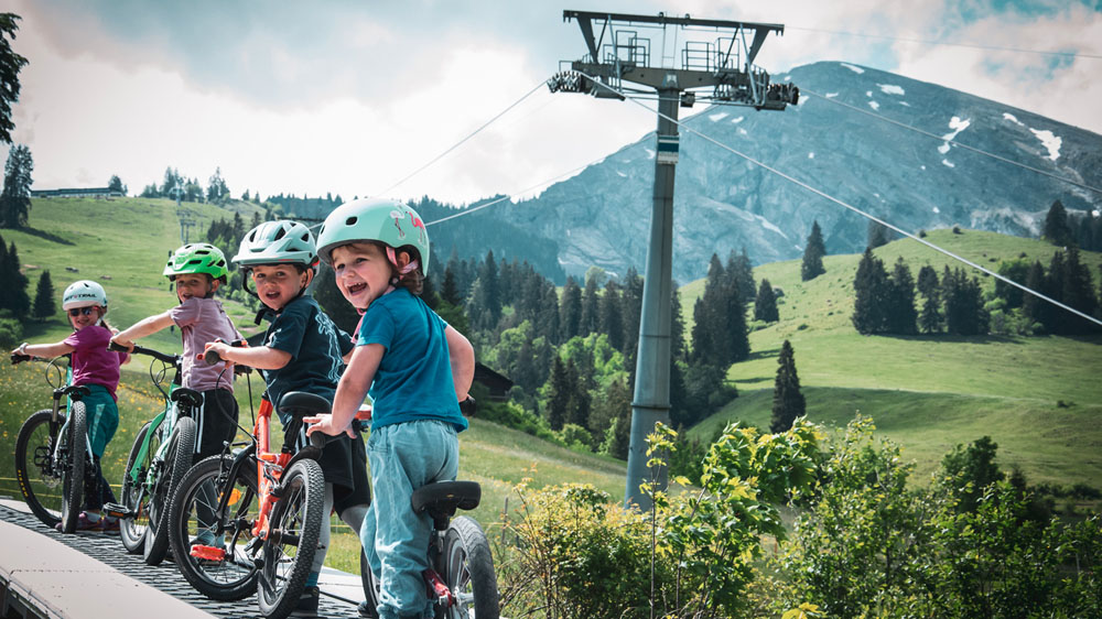 Cable car company - Wiriehorn