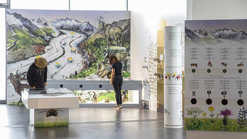 Museum World Nature Forum - Blatten/Belalp 