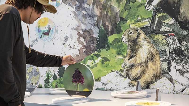 Museum World Nature Forum - Blatten/Belalp 